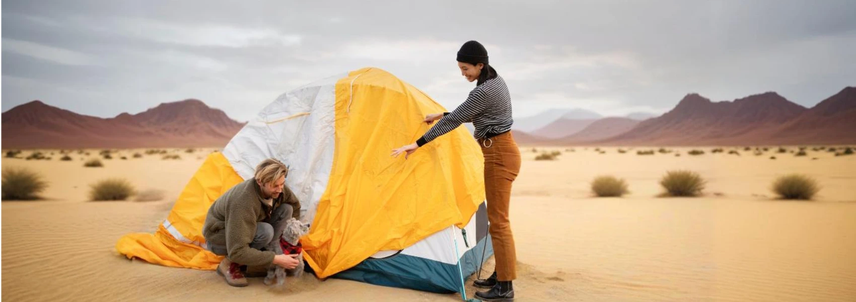night desert camping Dubai